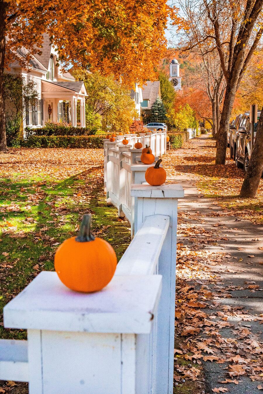 Orange pumpkins on a white fence along a leafy autumn street in Woodstock, Vermont
